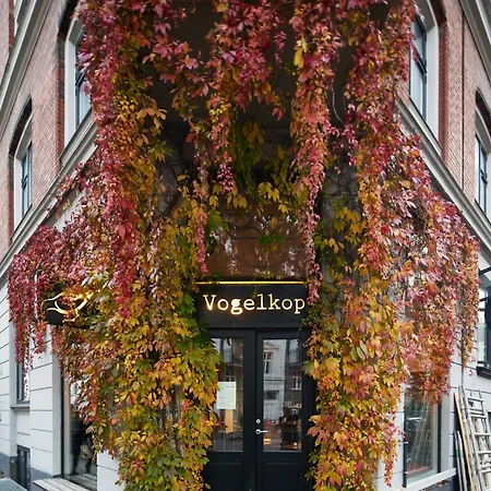 Vogelkop - Rest At The Heart Of Vesterbro *